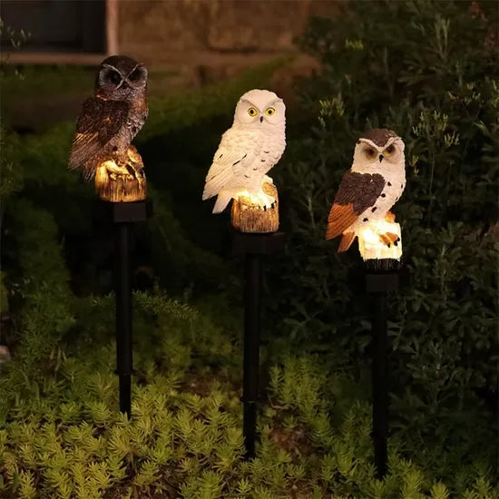 Three owl lights in brown, white and brown-and-white glowing together among low garden plants at night 5