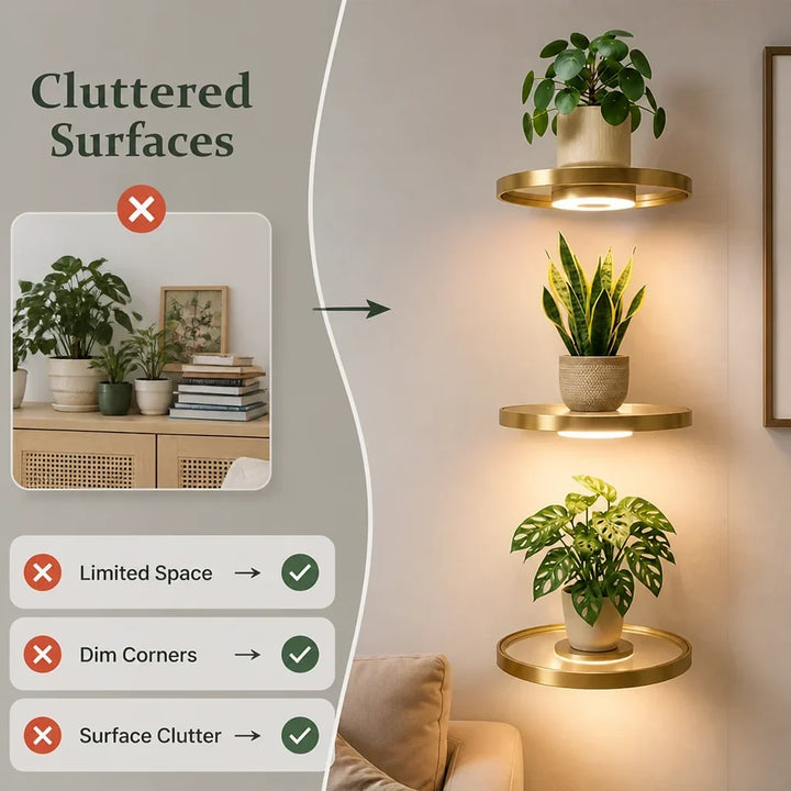 Cluttered dresser with plants and books contrasted with three tidy glowing gold shelves holding plants on the wall 2