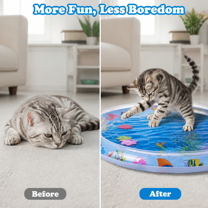 Cat Water Play Mat before and after comparison with a cat playing on the round mat.