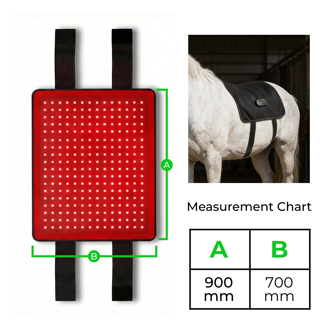 Another view of the glowing red LED panel with straps and labeled length and width