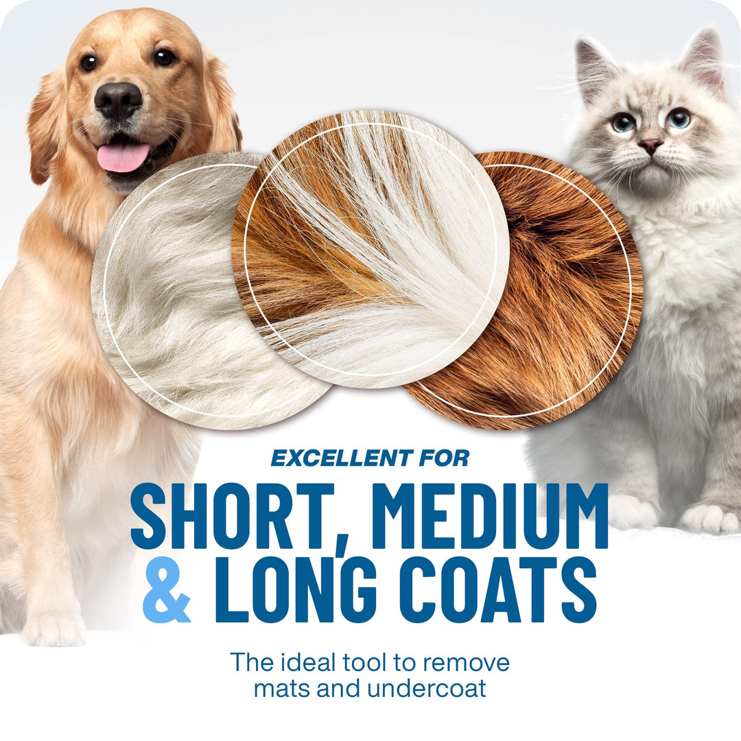 Golden retriever and fluffy white cat above three close-ups of different fur coat types 5