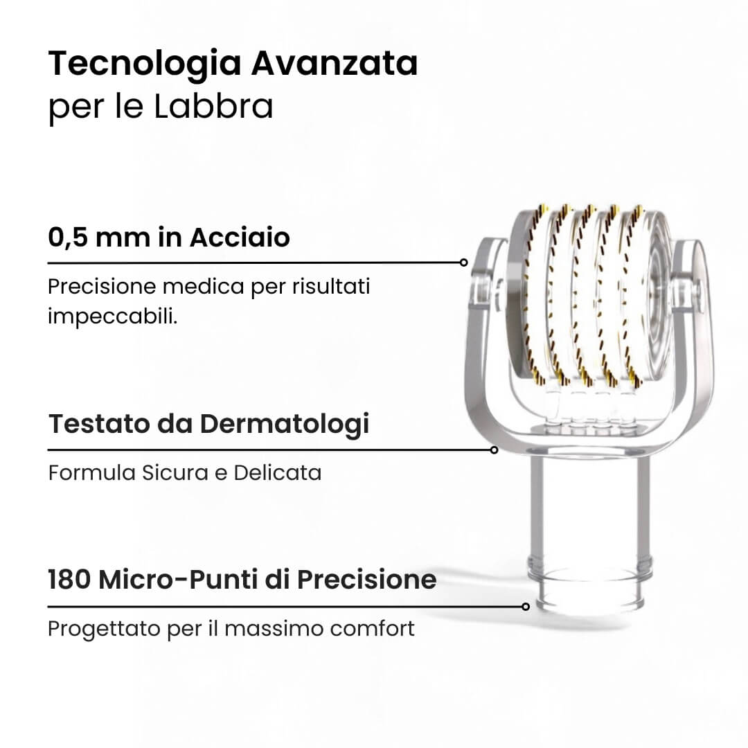 Close-up of one roller head with callout lines pointing to its needle rows, frame and base, listing features in Italian. 2