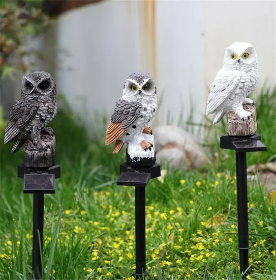 Three unlit owl lights on stakes in a lawn, solar panels visible beneath each 11