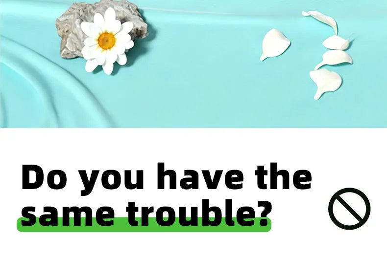 Teal background with a daisy on a small rock and scattered white petals above a question heading 9