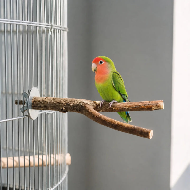 A green lovebird with a red face perches on a forked wooden branch mounted to the wire side of a cage. 2