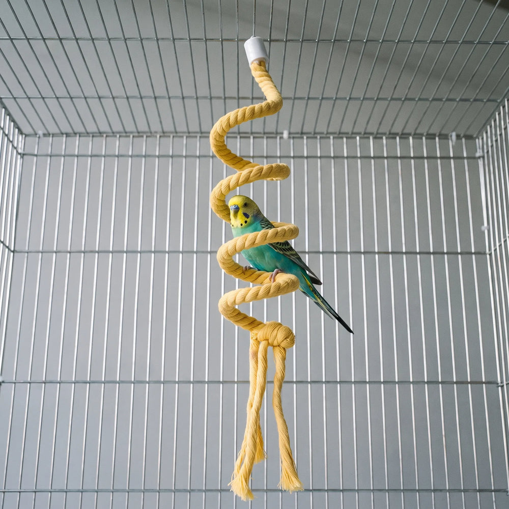 A green and yellow budgie perched on a coil of the yellow rope spiral inside a wire cage. 2