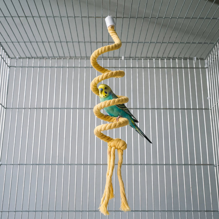 A green and yellow budgie perched on a coil of the yellow rope spiral inside a wire cage. 2