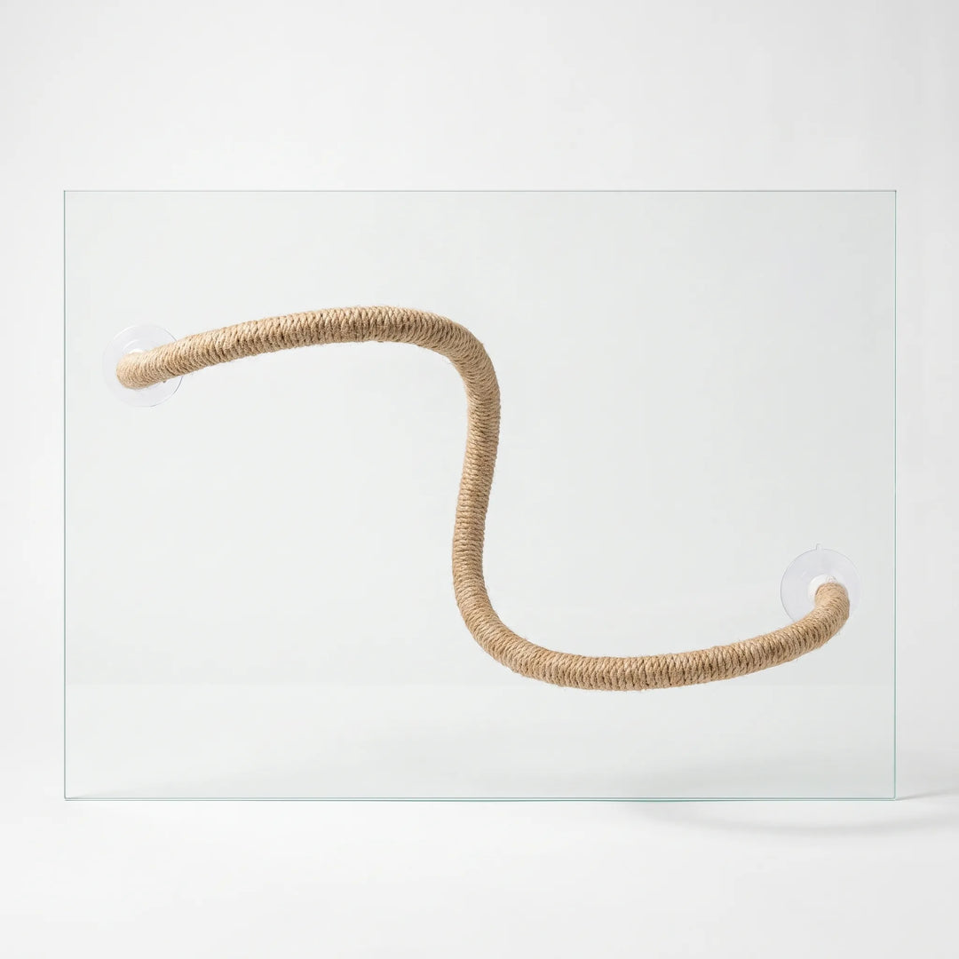 Bendable natural-fiber rope perch bent into an S shape and held on a clear glass pane by two suction cups, studio shot. 1