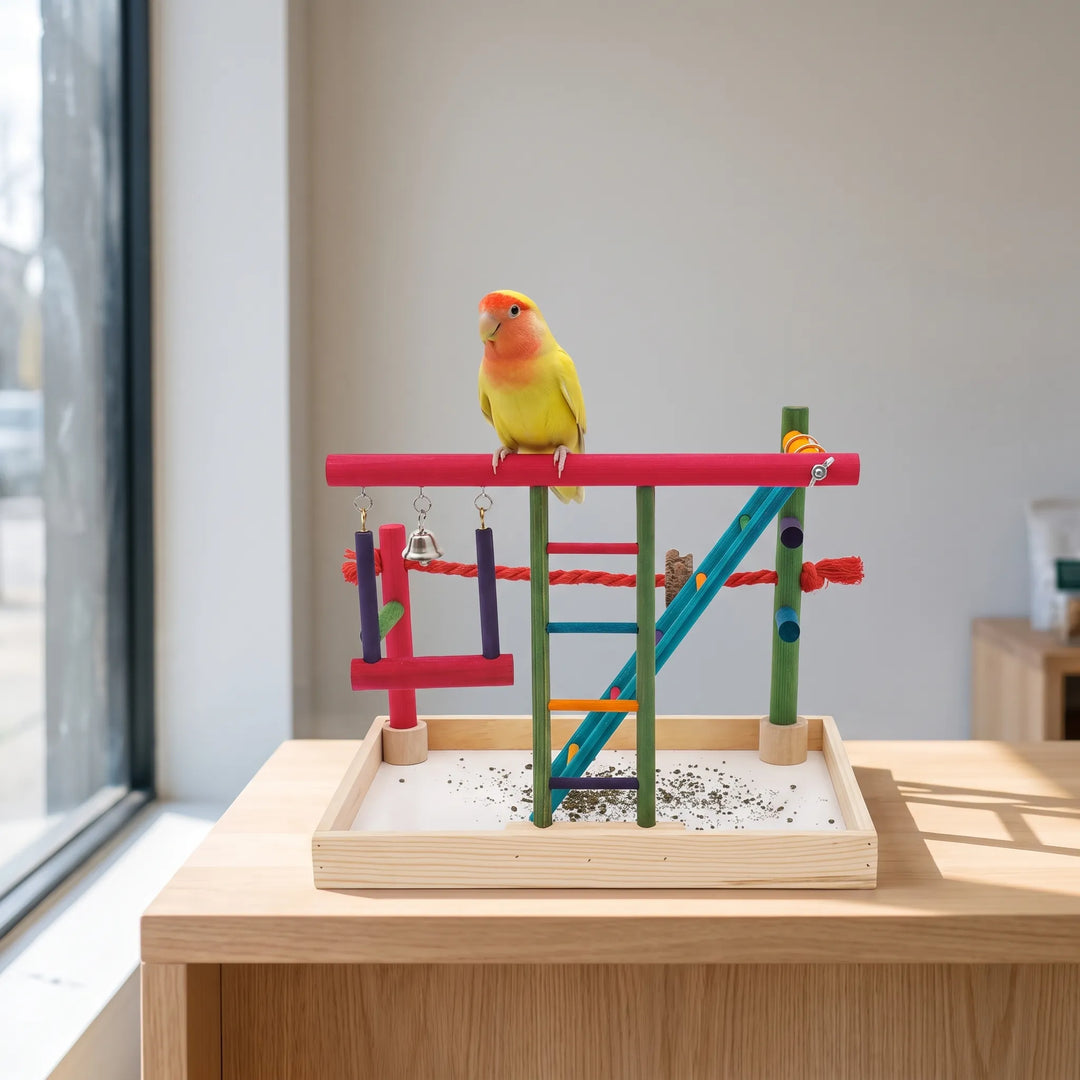 A yellow and orange lovebird perched on the top red bar of the playground, which stands on a wooden table. 3