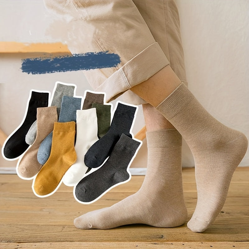 Colorful Crew-Length Everyday Socks - Warren