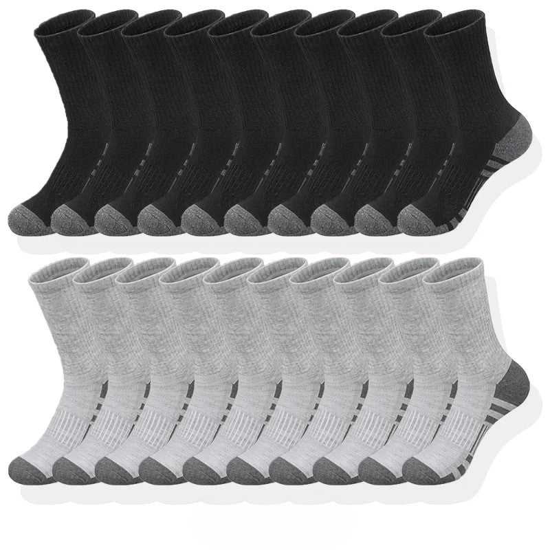 Crew-Length Sports Socks - Roy