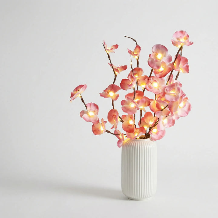 Decoratieve Verlichte Takken Met Natuurlijke Uitstraling - Twiglight