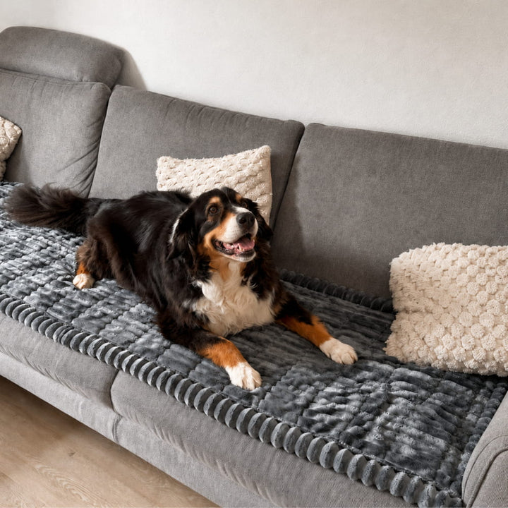 Brittany Sofa Protector Water-Resistant Blanket for Dogs & Cats in dark grey with a dog and scalloped edging.
