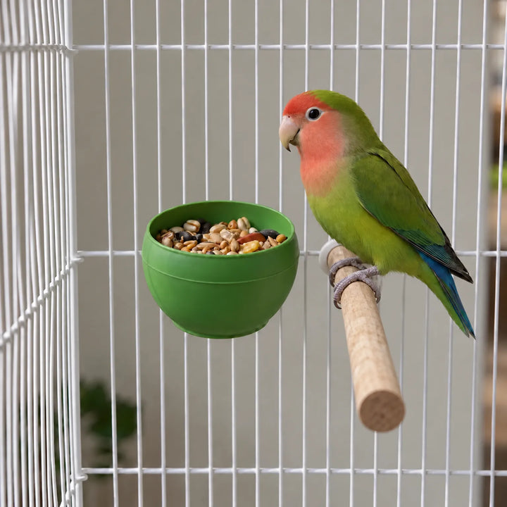 Green bowl filled with mixed seeds clipped to a white cage, with a green and red lovebird perched on a wooden perch beside it. 2