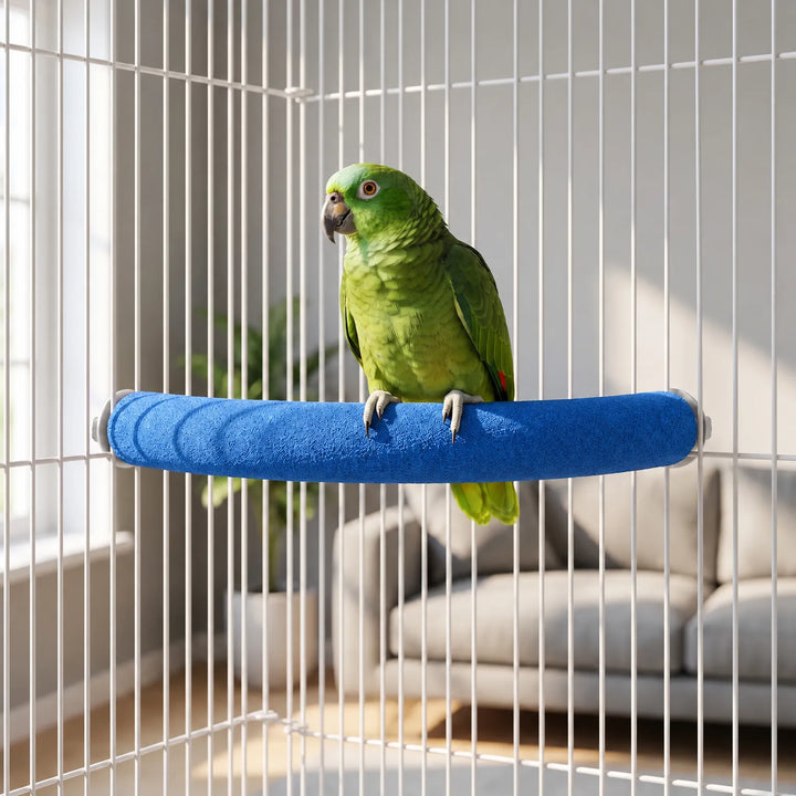 Green parrot standing on a blue gritty curved perch fitted between the white bars of a cage in a bright living room. 2
