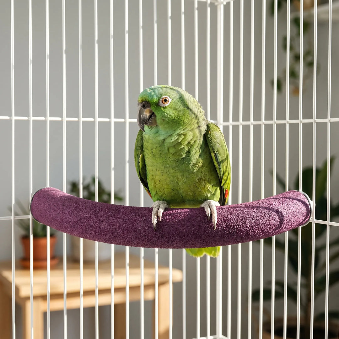 Green parrot gripping a purple textured curved perch mounted inside a white wire cage, with houseplants and a wooden table behind. 3
