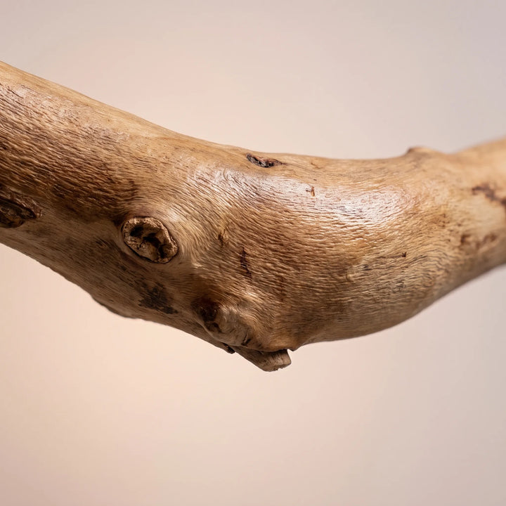 Close-up of the branch's textured surface, showing wood grain, small knots and natural bumps against a soft peach background. 4