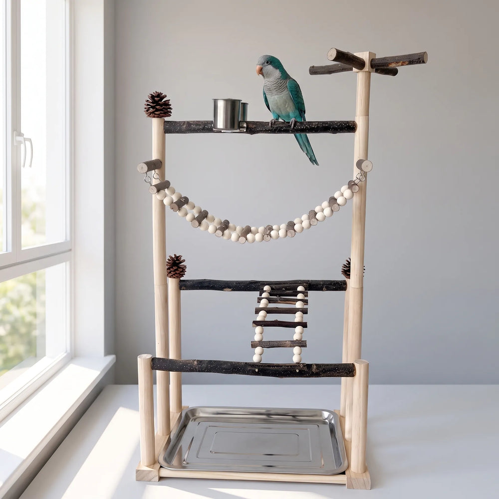 Front view of the wooden play stand beside a window, with a blue-green parrot perched on the top branch next to the steel cup. 2