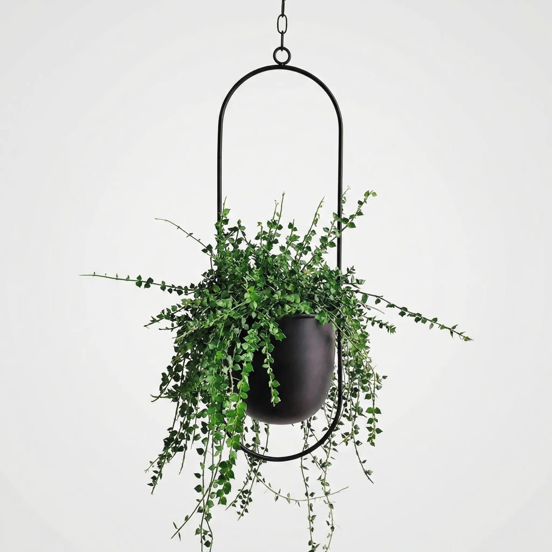 Hangende Bloempot Met Geometrisch Frame - Floraveil