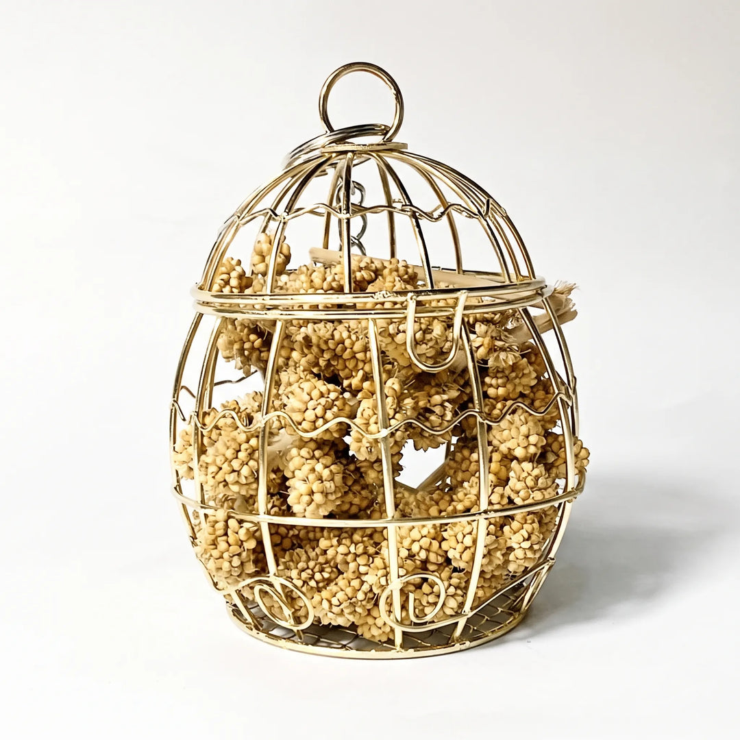 Egg-shaped gold wire cage with a top ring, packed with golden millet sprays, shown on a plain white background. 1