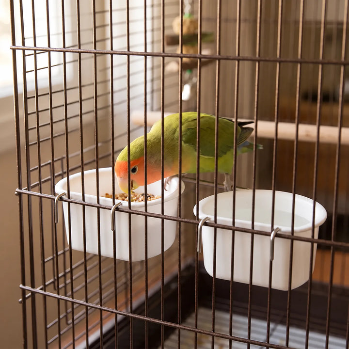 Two white bowls hooked onto a cage's wire bars, with a green and orange lovebird eating seed from one of them. 2