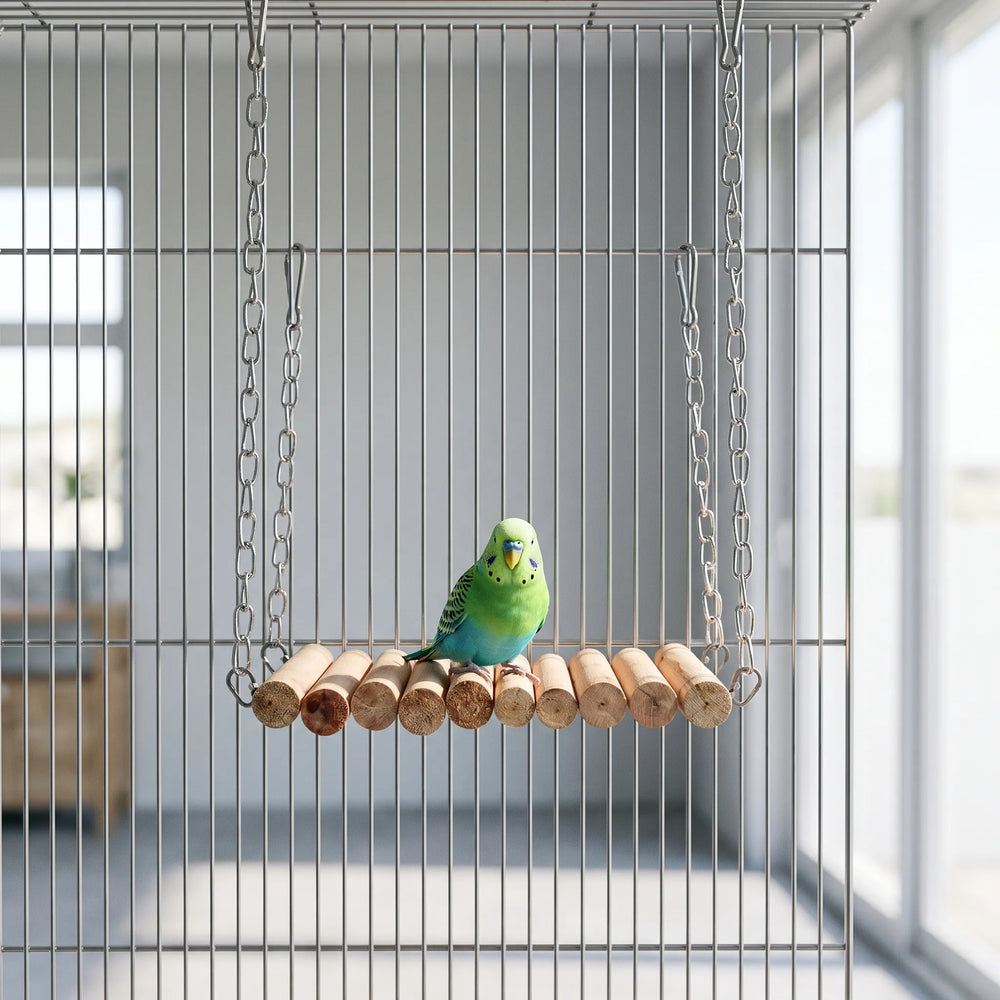 Green and blue budgie perched on the wooden log swing, which hangs by chains inside a wire cage near a window. 2