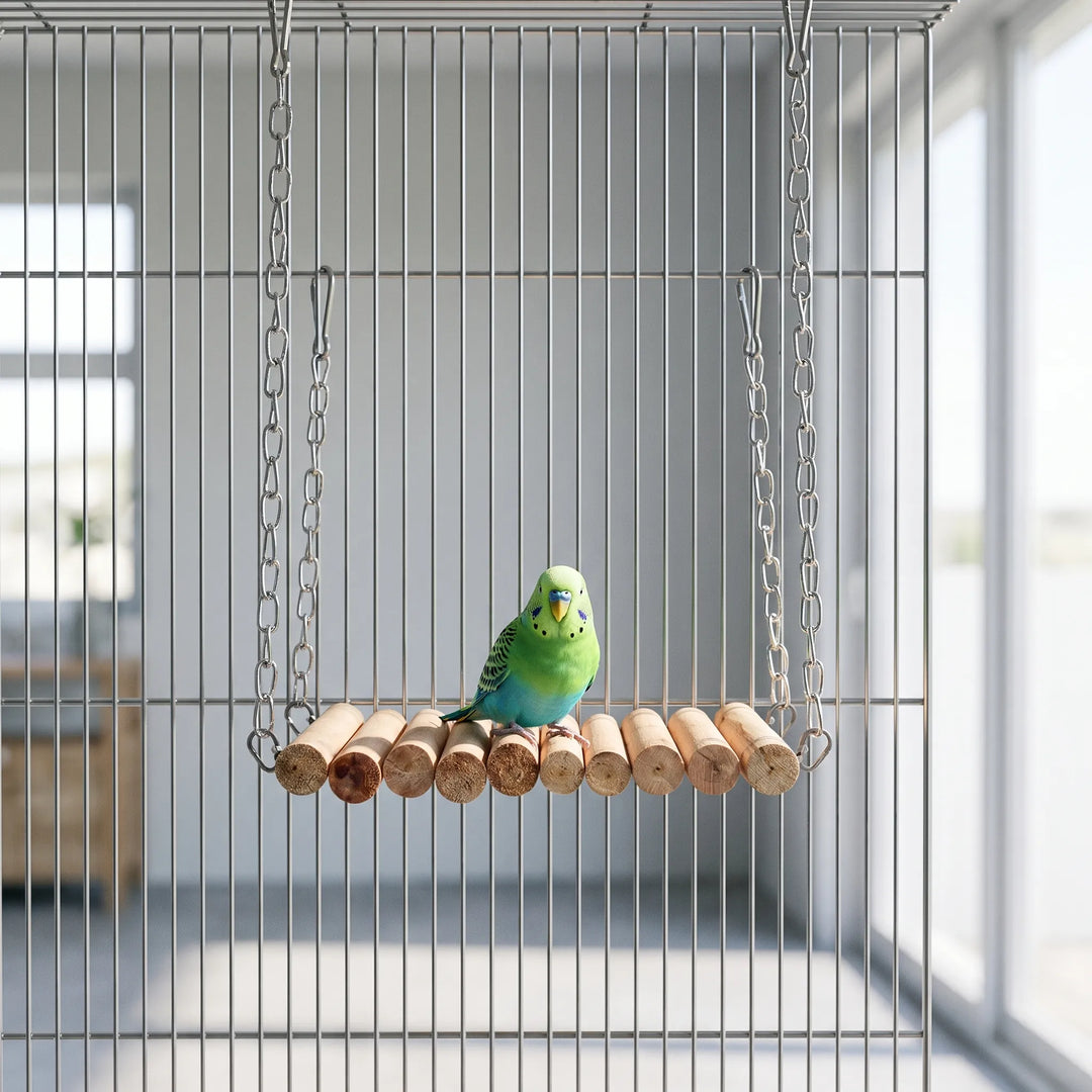 Green and blue budgie perched on the wooden log swing, which hangs by chains inside a wire cage near a window. 2