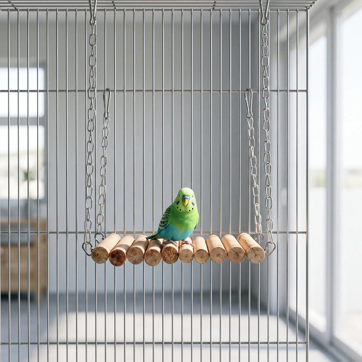 Green and blue budgie perched on the wooden log swing, which hangs by chains inside a wire cage near a window. 2