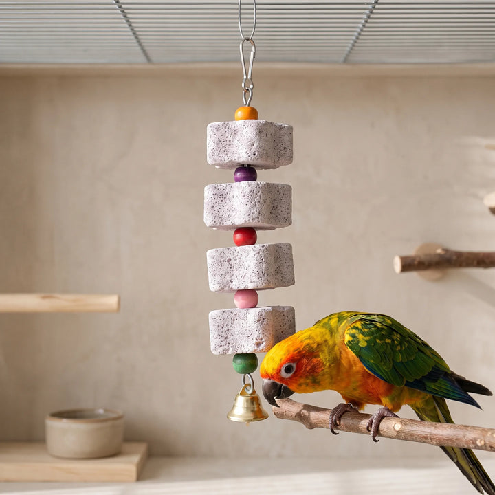 The four-block stone toy hangs inside a cage while a colorful sun conure on a branch perch inspects the lowest block. 2