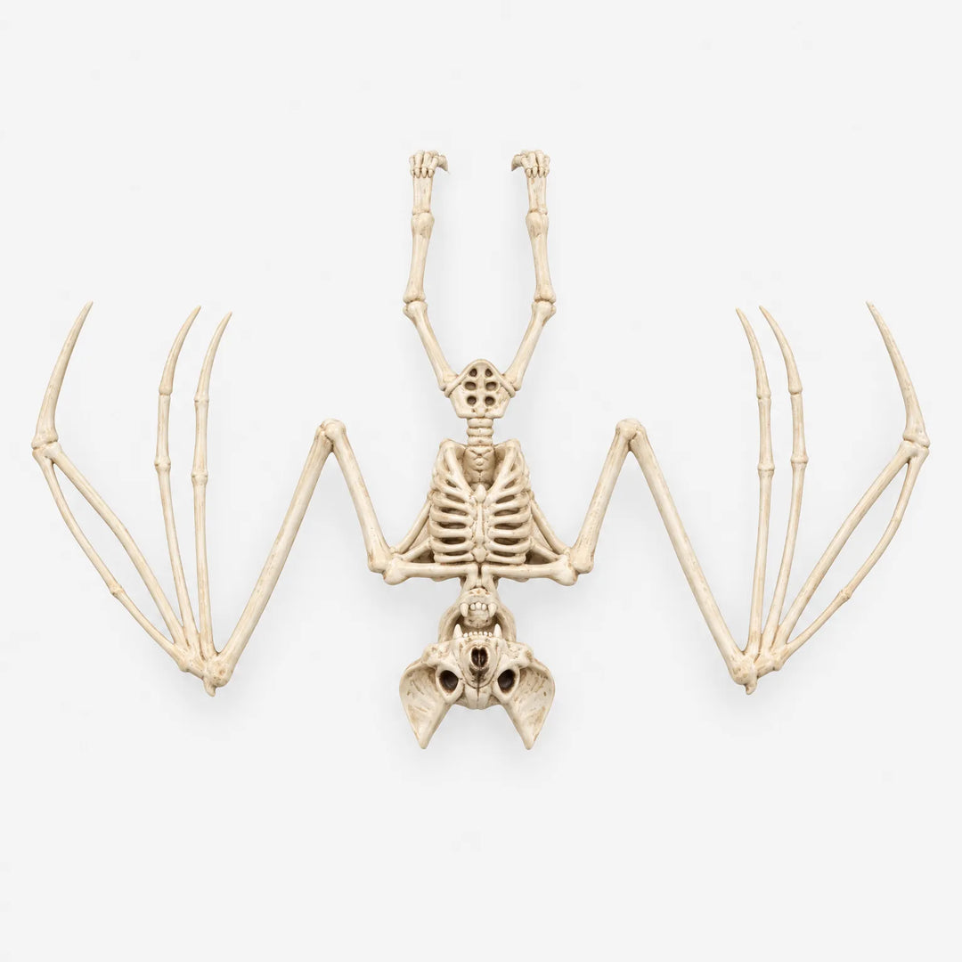 Hanging Bat Skeleton - Nocturnia