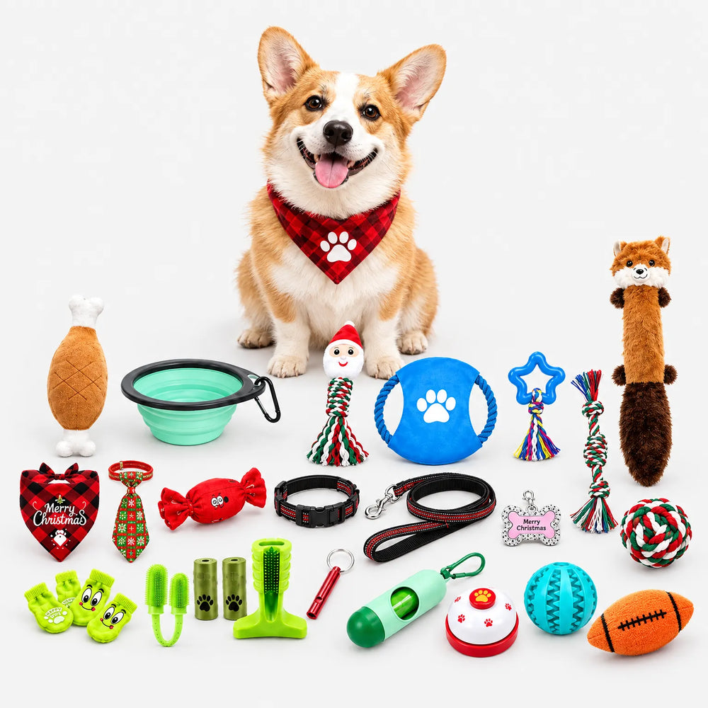 Corgi in a plaid bandana sits on white among the full set: plush toys, rope toys, collar, leash, bowl, ball and accessories. 2