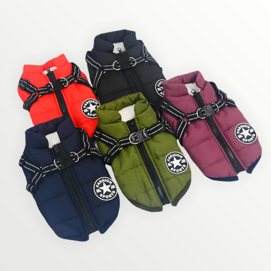 Five jackets laid flat in red, black, purple, blue and green, showing front zippers, reflective harness straps and round chest patches. 4