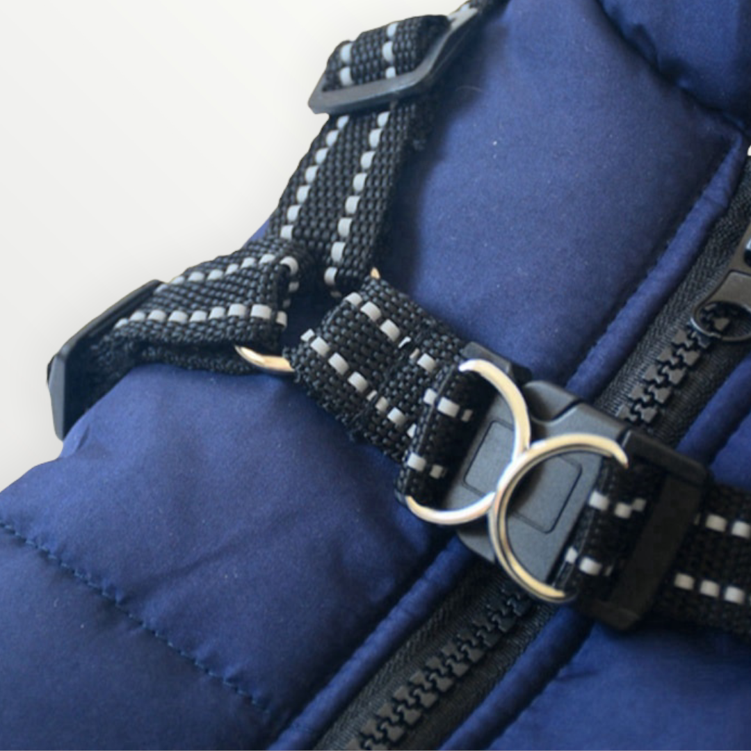 Close-up of a navy jacket showing reflective black harness straps, adjustable slides, a buckle, metal leash rings and the chunky zipper. 6