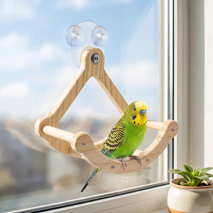 Green and yellow budgerigar perched on the wooden swing, which hangs by suction cups on a sunny window beside a small potted succulent. 2