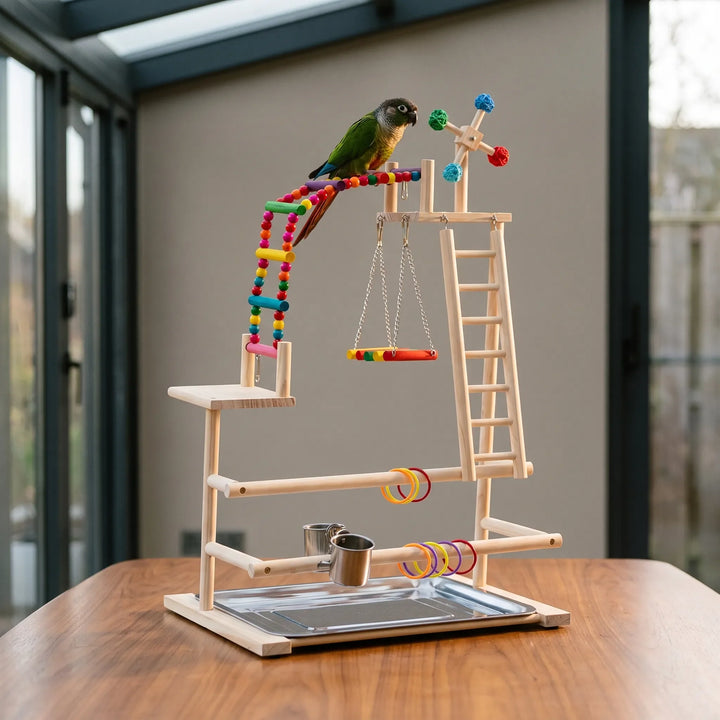 Green parrot perched on the beaded ladder of the wooden playground, which stands on a wooden table beside large windows. 2
