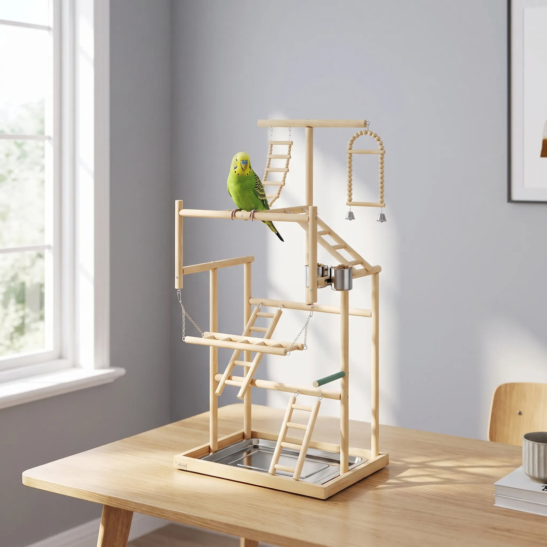 Green budgie perched on the middle bar of the wooden bird playground, which stands on a light wood table beside a sunny window. 2