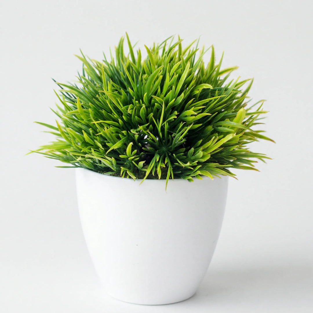 Mini Sculpted Tabletop Tree - Verdelia