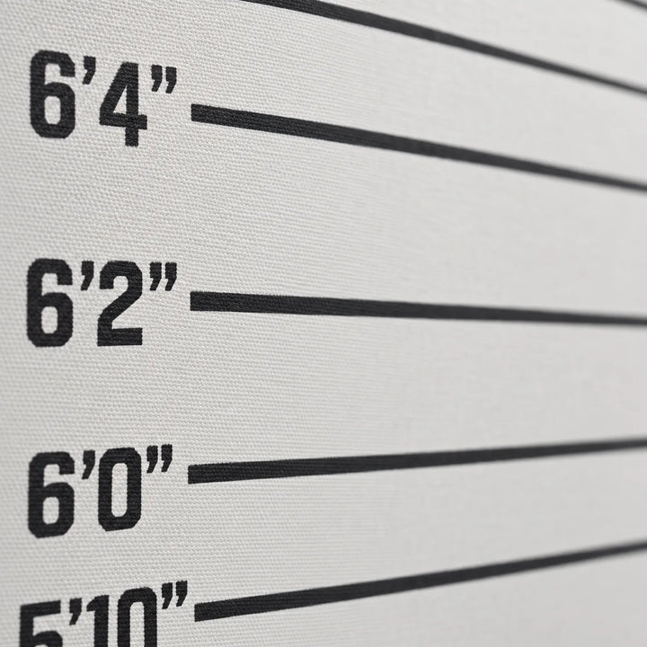 Mugshot Photography Backdrop - LineupPro