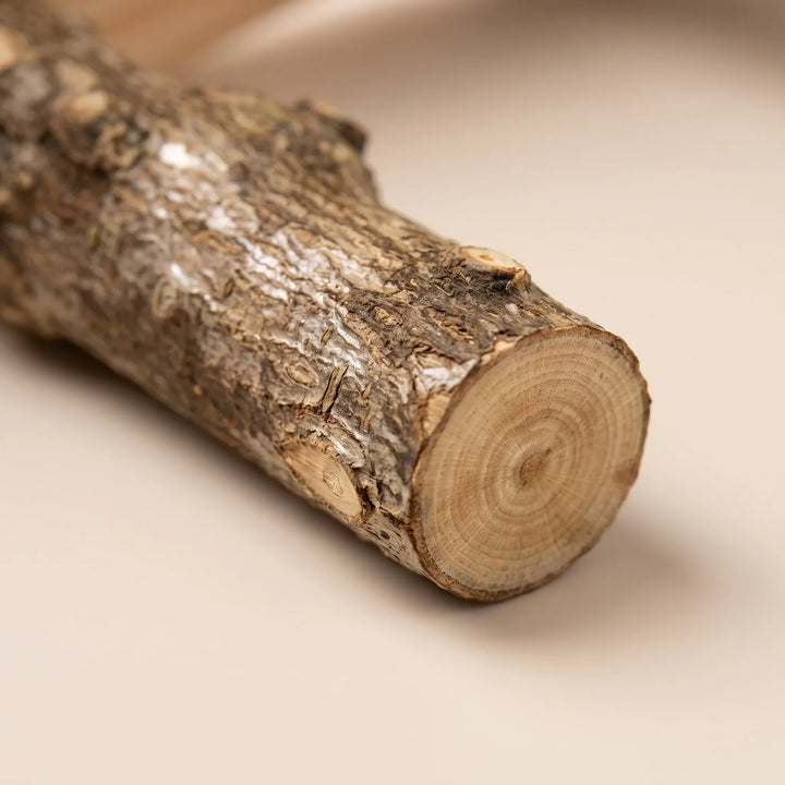 Close-up of a single natural branch perch, showing rough bark texture and the pale growth rings of the cut end. 3
