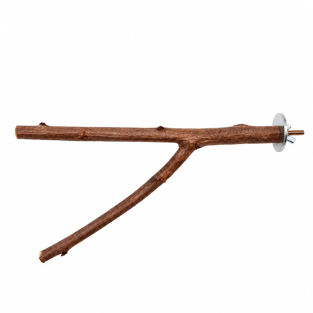 Forked natural wood branch perch on a white background, with a metal washer, wing nut and threaded bolt at one end for mounting. 1
