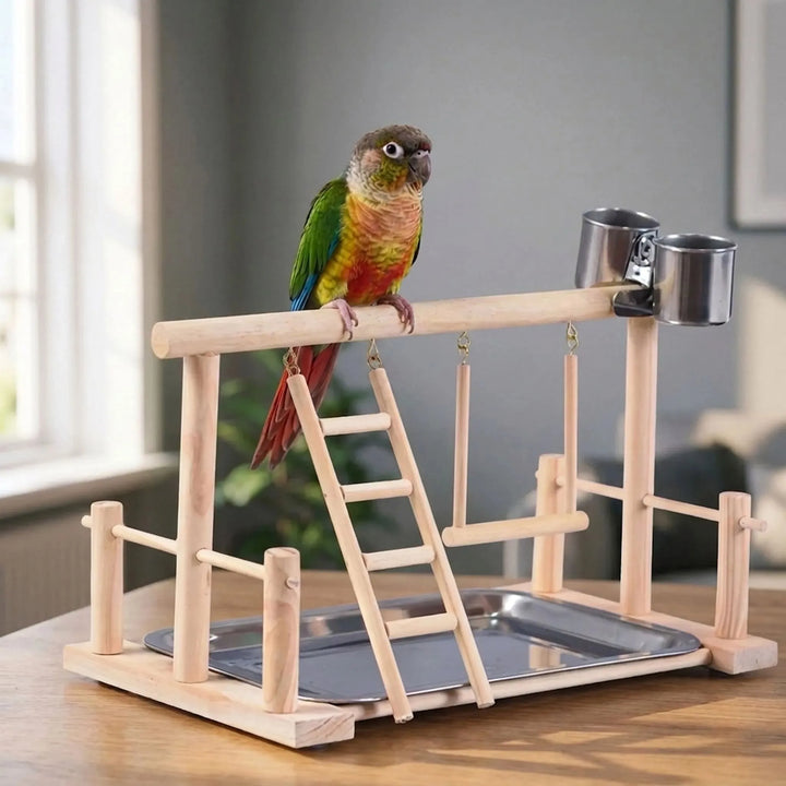 Green and orange conure perched on the smooth wooden top bar of the stand, set on a table in a bright living room. 2