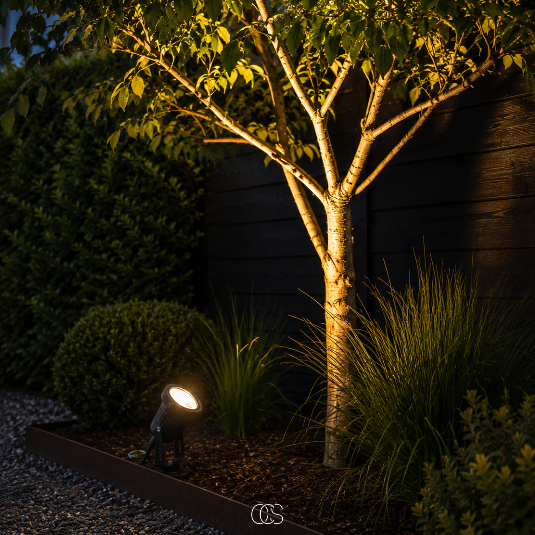 LED garden spotlight another view at the edge of a mulch bed, lighting a slender tree trunk.