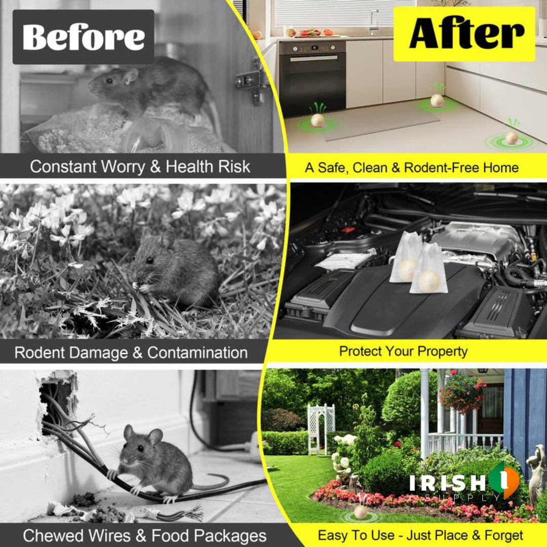 Another view showing mice gnawing wires, food and plants versus a tidy kitchen, a car engine with two bagged balls, and a garden.