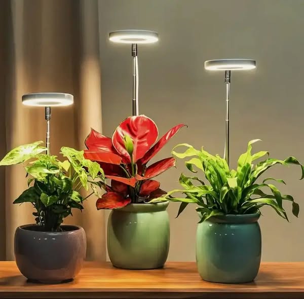 Three ring-shaped grow lights on adjustable stems glowing above potted houseplants in gray and green ceramic pots on a wooden shelf. 1