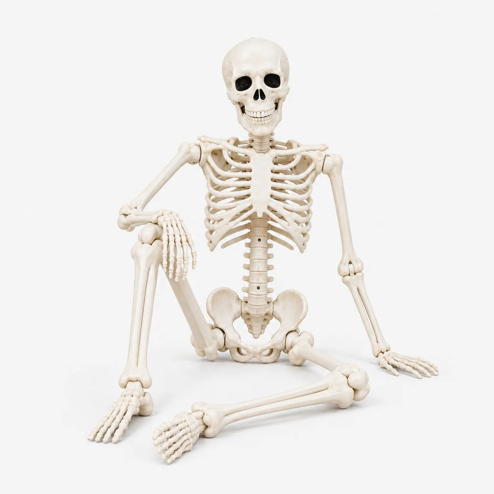 Plastic Skeleton Prop - Hauntjoint