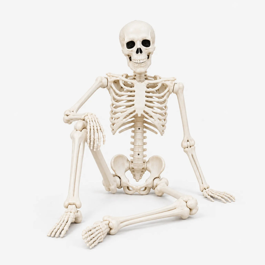 Plastic Skeleton Prop - Hauntjoint