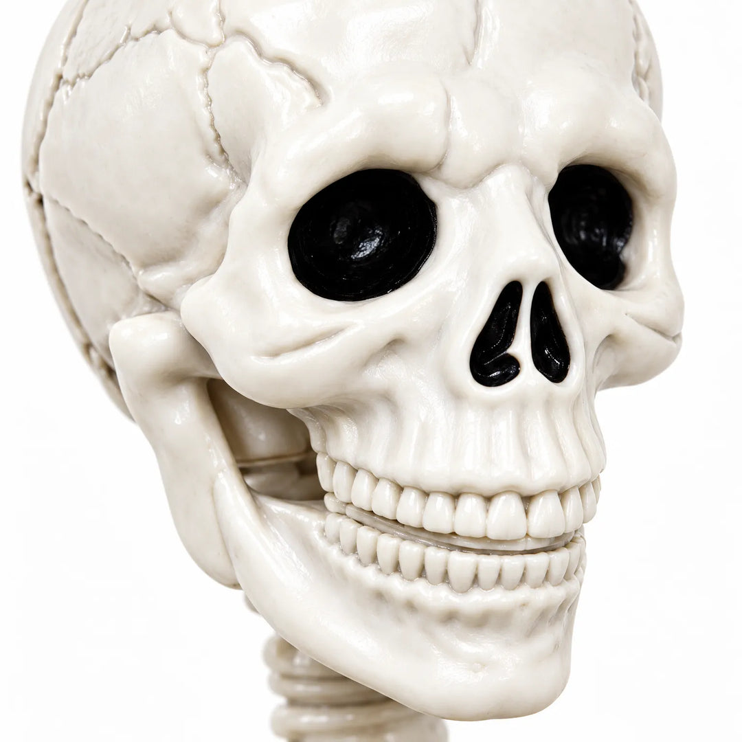 Plastic Skeleton Prop - Hauntjoint