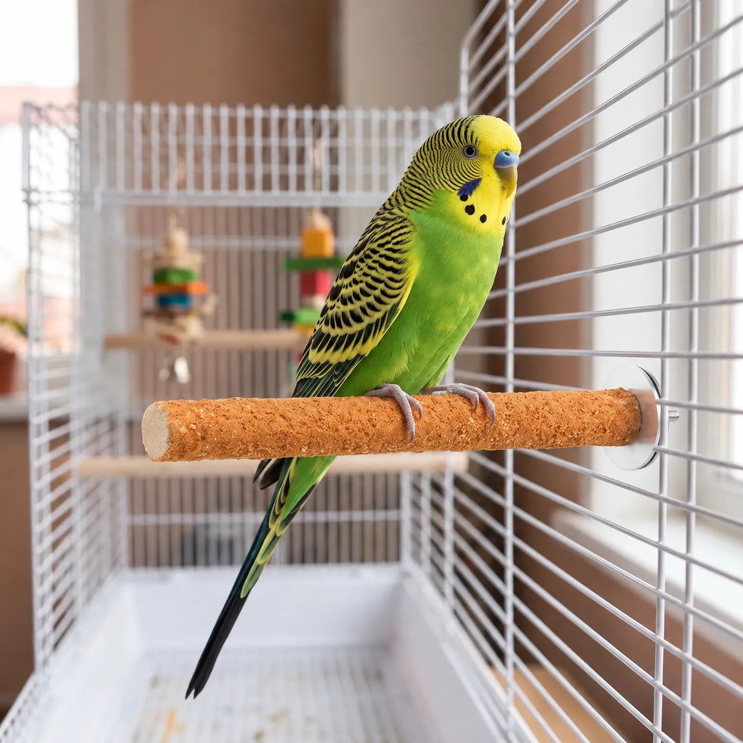 Green and yellow budgie perched on an orange textured perch fixed inside a white cage, with hanging toys in the background. 2