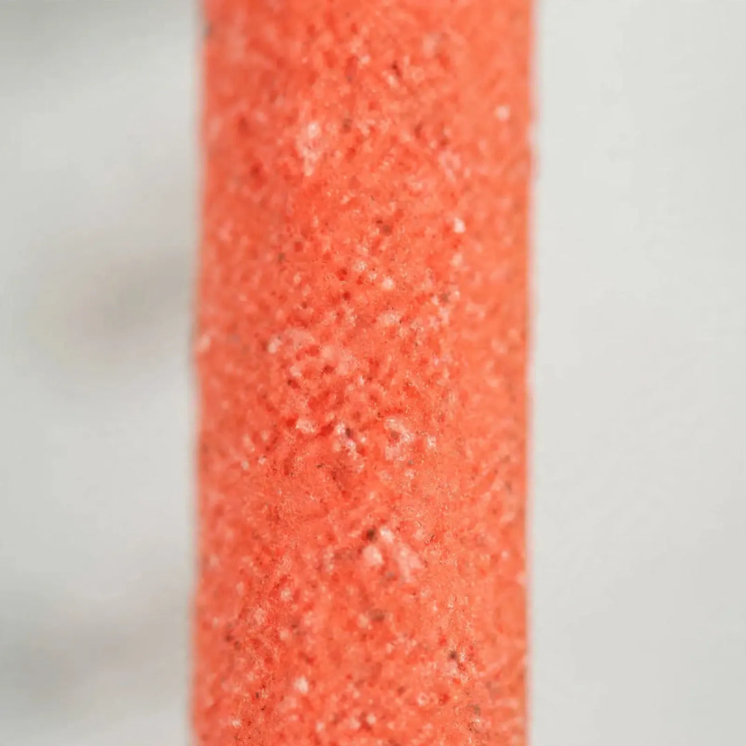 Extreme close-up of the orange perch surface showing its coarse, sandy, gritty texture against a soft gray background. 4