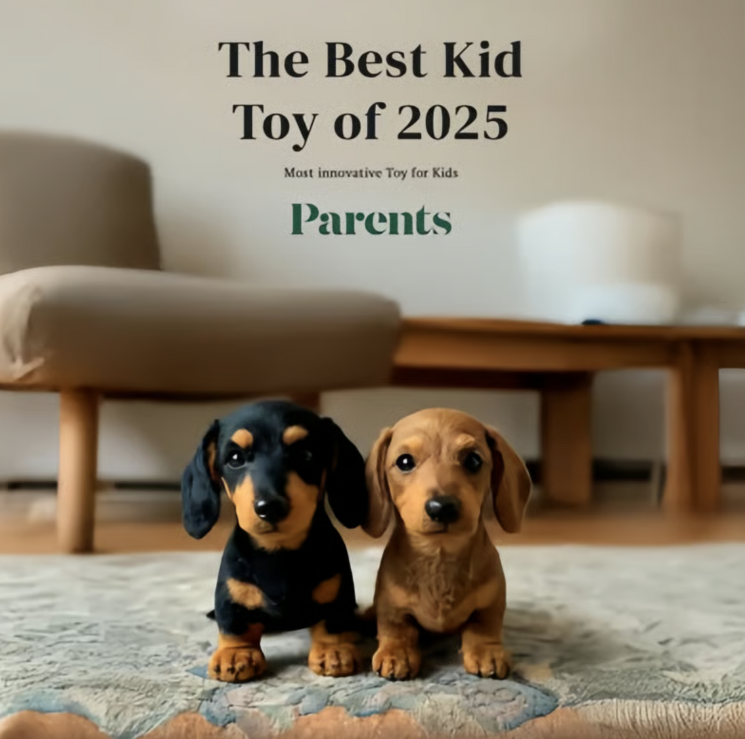 Black-and-tan and tan plush dachshund puppies sit side by side on a rug, with an award caption above them. 8